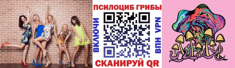 Псилоцибиновые грибы GOLDEN TEACHER  даркнет клад  Свирск  МЕГА  